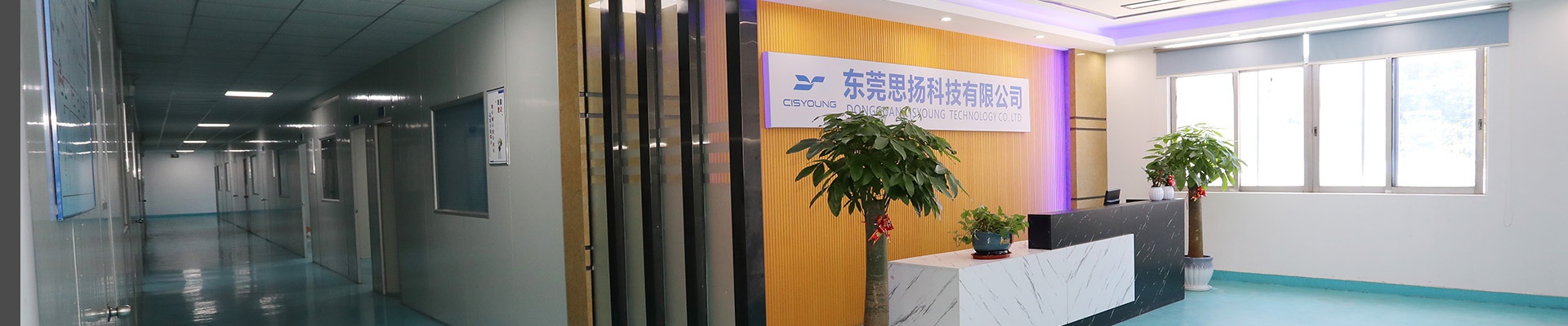 网站地图